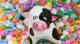 Candy For Cows!